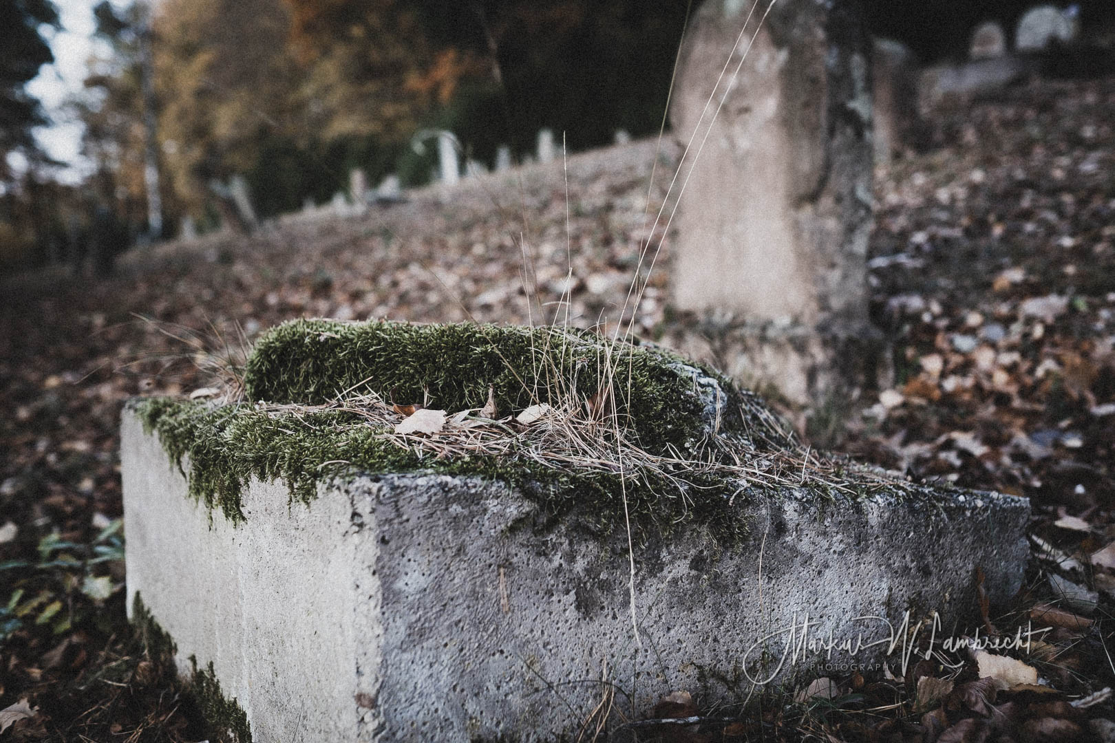 Jestädt, Jüdischer Friedhof